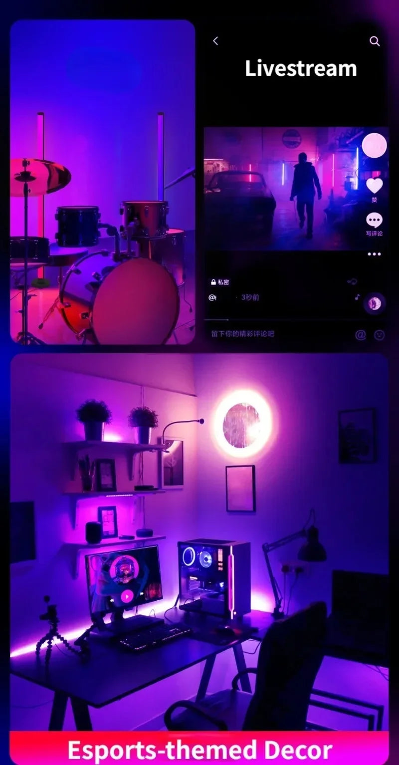 EISSLOLY 2PCS Intelligent RGB Floor Lamp APP Control Music Synchronized Corner Lighting Room decoration Standing Lights